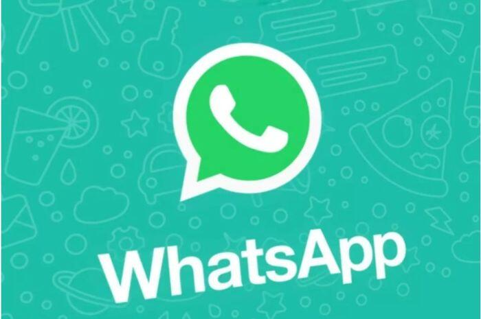 5 Fitur Whatsapp yang Sangat Bermanfaat Untuk Penggunanya