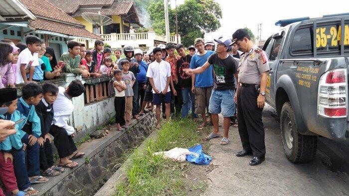 Ambil Sarang Burung, Bocah Di Sukabumi Teriak Temukan Sosok Ini Di Pinggir Jalan