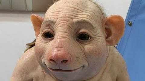 Gile!! Tidak Puas ama Bayi Tabung.ilmuan Ciptakan Bayi Siluman