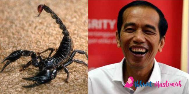 Jokowi: Mau Kaya? Cari Racun Kalajengking (Sementara SDA dicuri Asing!)