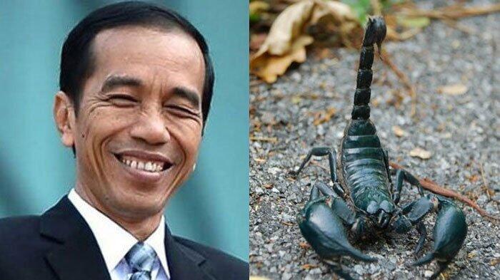 Presiden Nggak Usah Sok Humoris, Rakyat Butuh Solusi Konkrit