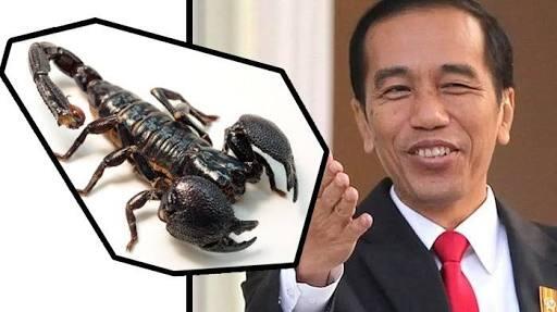 Racun Kalajengking, Harapan Baru Untuk Kanker