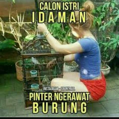 SIAPA Yang Lagi CEMBERUT ??? Ni ane Kasih 11 Meme Ngakak!! Yang Bikin Kita TERHIBUR