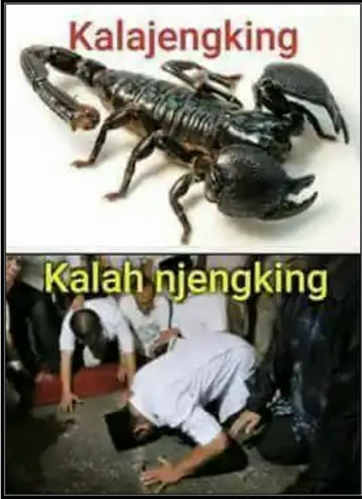 Gerindra: Kapan Pelatihan Cari Racun Kalajengking, Pak Jokowi?