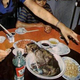 Hobi Makan? Berani Coba Makanan Yang Bakal Bikin Kepala Ga Henti Geleng - Geleng Ini?