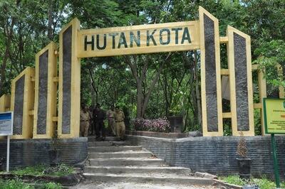 &#91;COC GL&#93; Mengenal Hutan Kota Dan Manfaat Yang Diberikannya