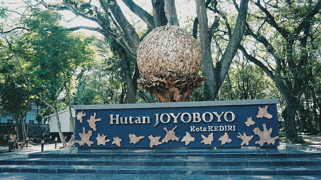 &#91;COC GL&#93; Mengenal Hutan Kota Dan Manfaat Yang Diberikannya