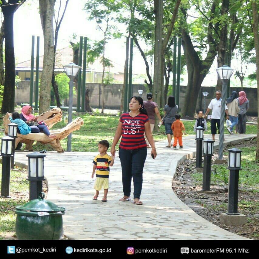 &#91;COC GL&#93; Mengenal Hutan Kota Dan Manfaat Yang Diberikannya
