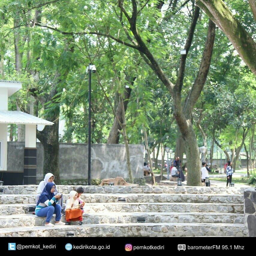 &#91;COC GL&#93; Mengenal Hutan Kota Dan Manfaat Yang Diberikannya