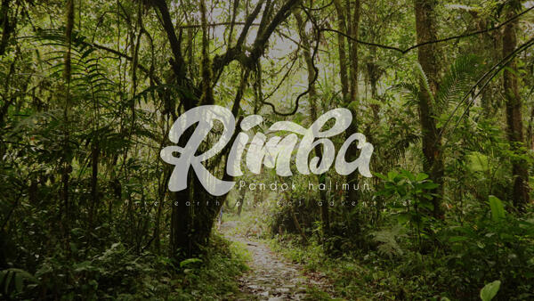 Masuk-masuk hutan cuman buat liat ini?