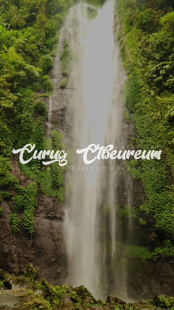 Masuk-masuk hutan cuman buat liat ini?