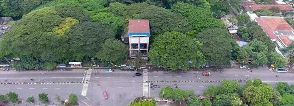 &#91;COC GL&#93; Mengenal Hutan Kota Dan Manfaat Yang Diberikannya