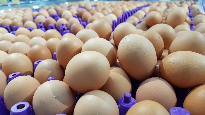 Menjelang Ramadhan, Harga Telur di Yogyakarta Terus Melambung