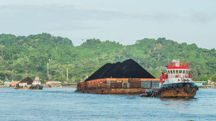 Upaya menyelamatkan terumbu karang di Karimunjawa