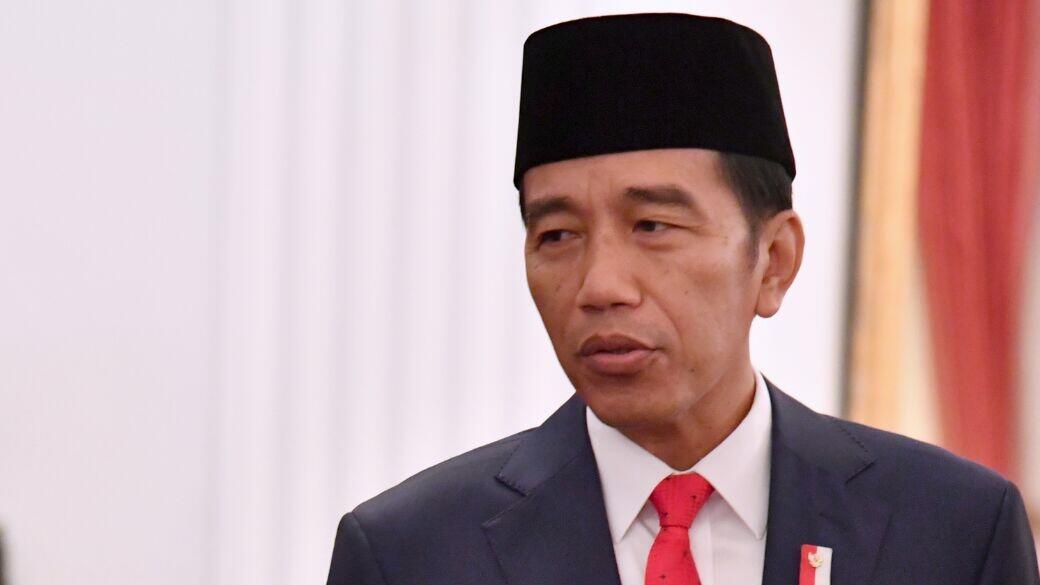 Pimpinan DPD RI Temui Jokowi di Istana Bogor