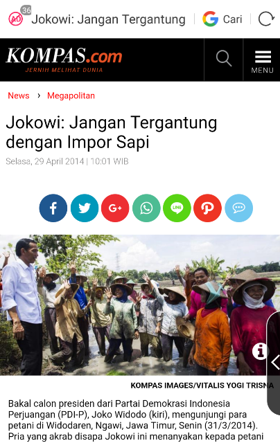 Sambut Ramadan, Bulog impor 20.000 ton daging kerbau asal India