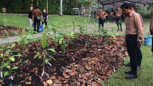 &#91;COC GL&#93; Cara Membangun Hutan secara Alami, Cepat, dan Dapat Dilakukan Di Manapun 