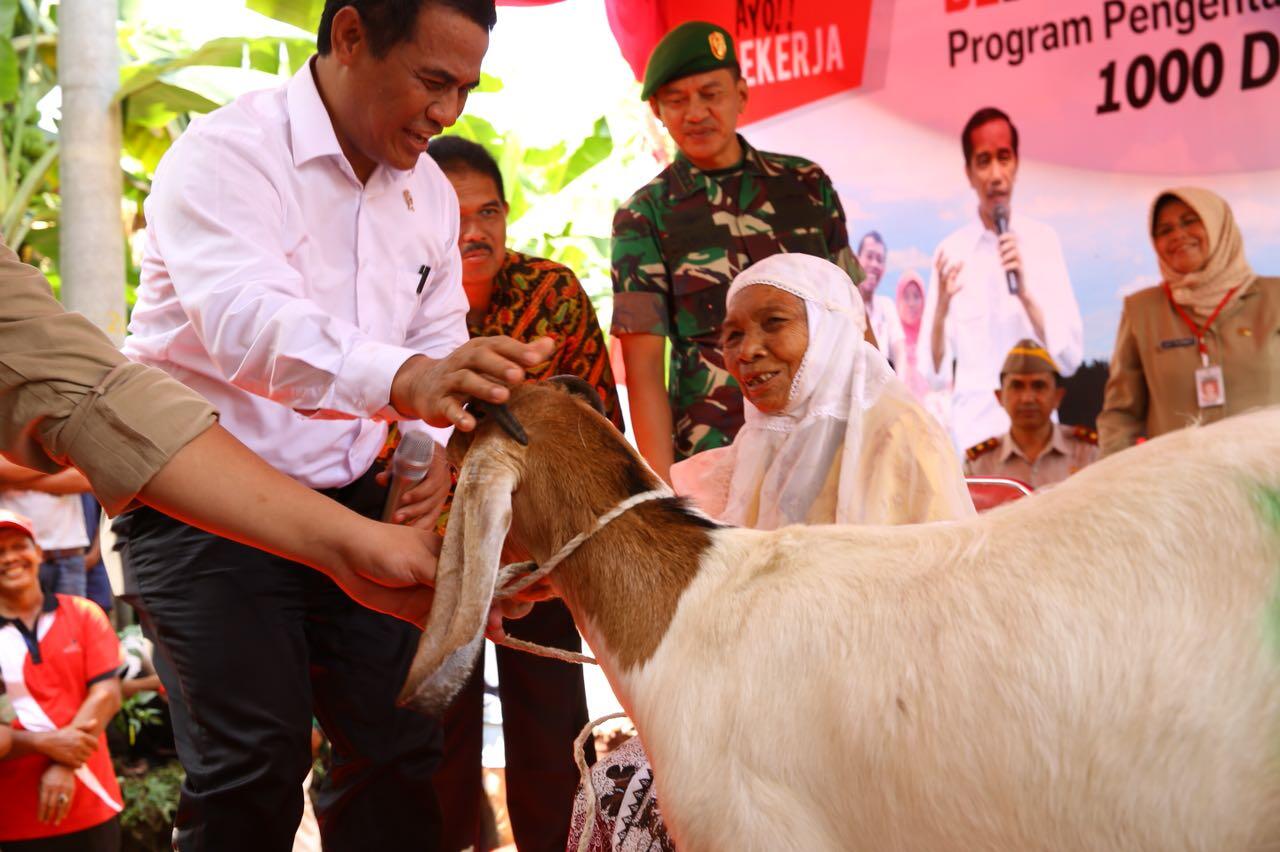 Kementan Tegaskan Tidak Akan Impor Daging Ayam dari Brazil