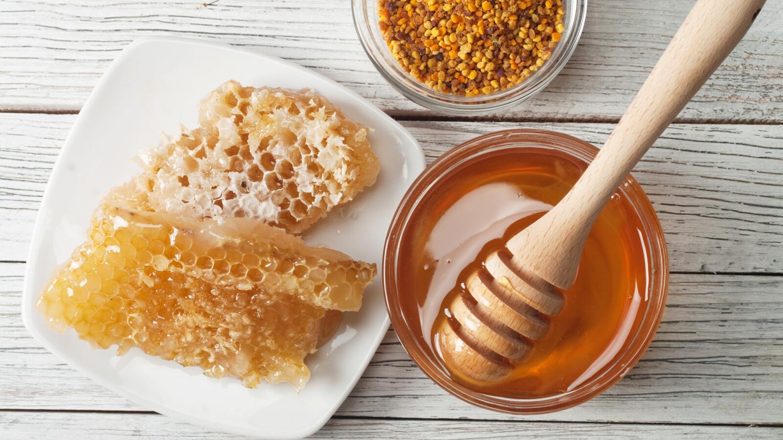 Mengenal 10 Jenis Makanan yang Baik untuk Organ Reproduksi