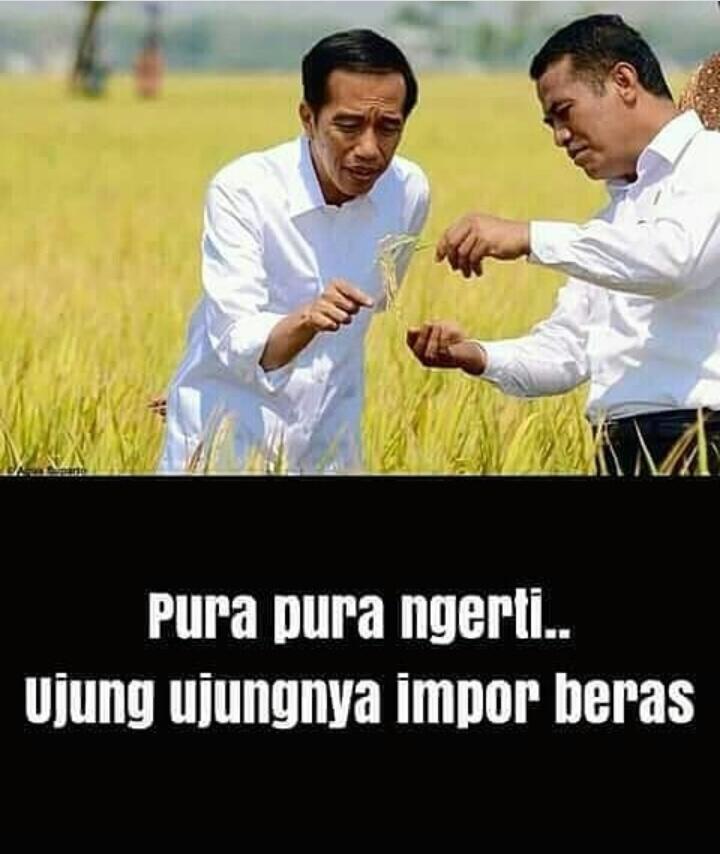 Rupiah Terus Melemah, Ini Komentar Jokowi .