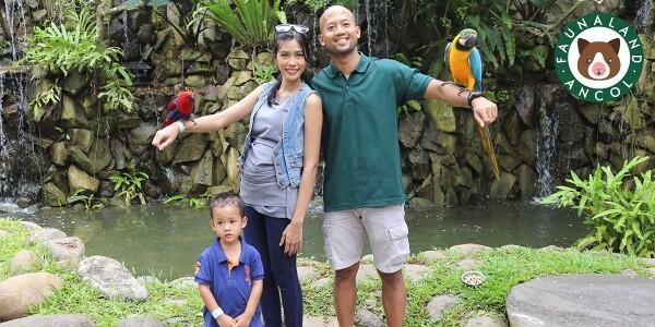 PROMO ANCOL TERBARu MEI 2018 DISCOUNT UP TO 46%