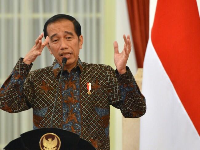 Presiden Saksikan Peremajaan Sawit Rakyat di Riau Hari Ini