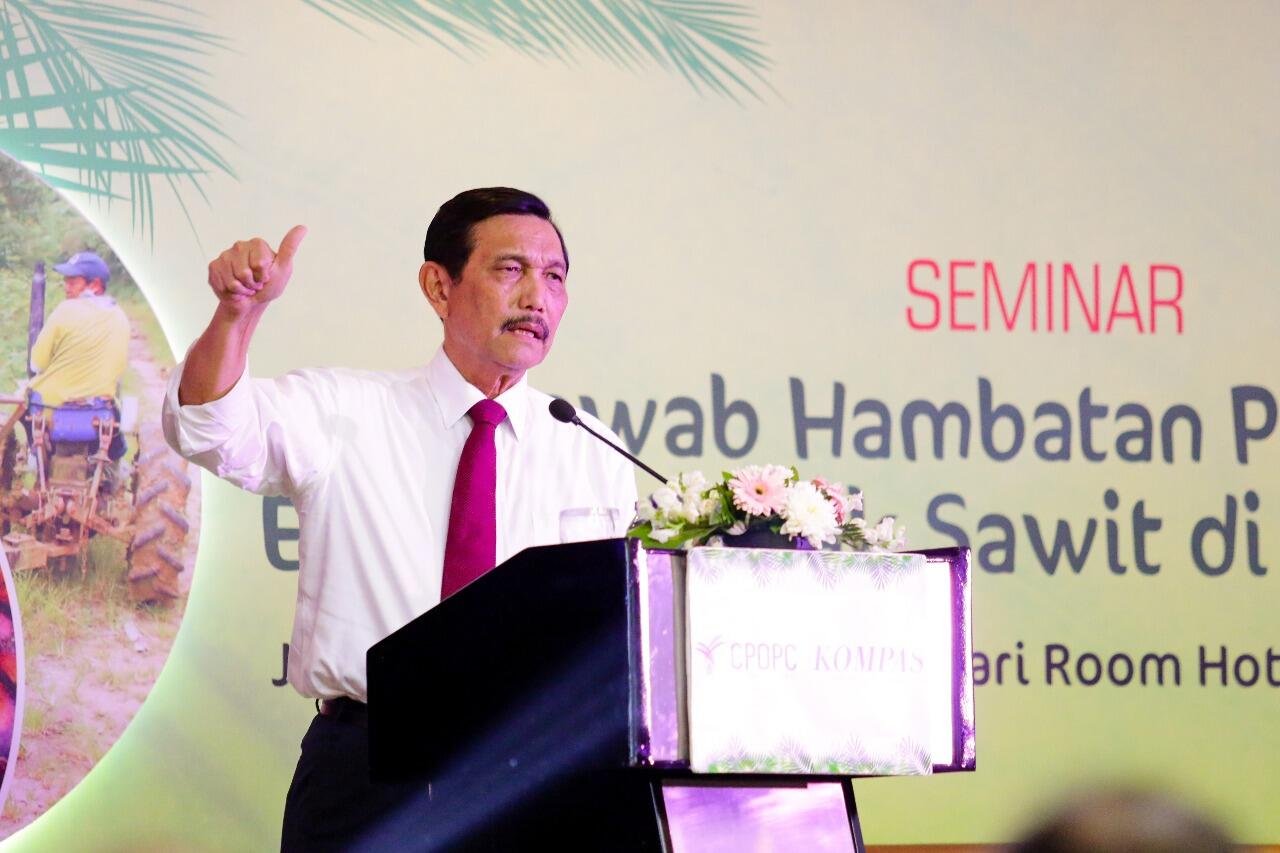 Menko Luhut: Industri Kelapa Sawit Signifikan Serap Tenaga Kerja