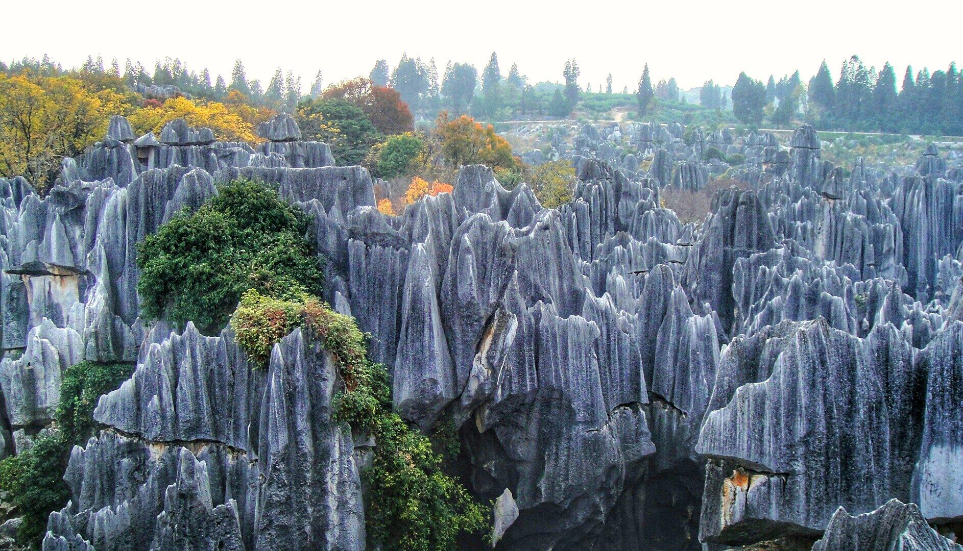 Menengok Barisan Batu Karst Raksasa di Shillin Stone Forest, China