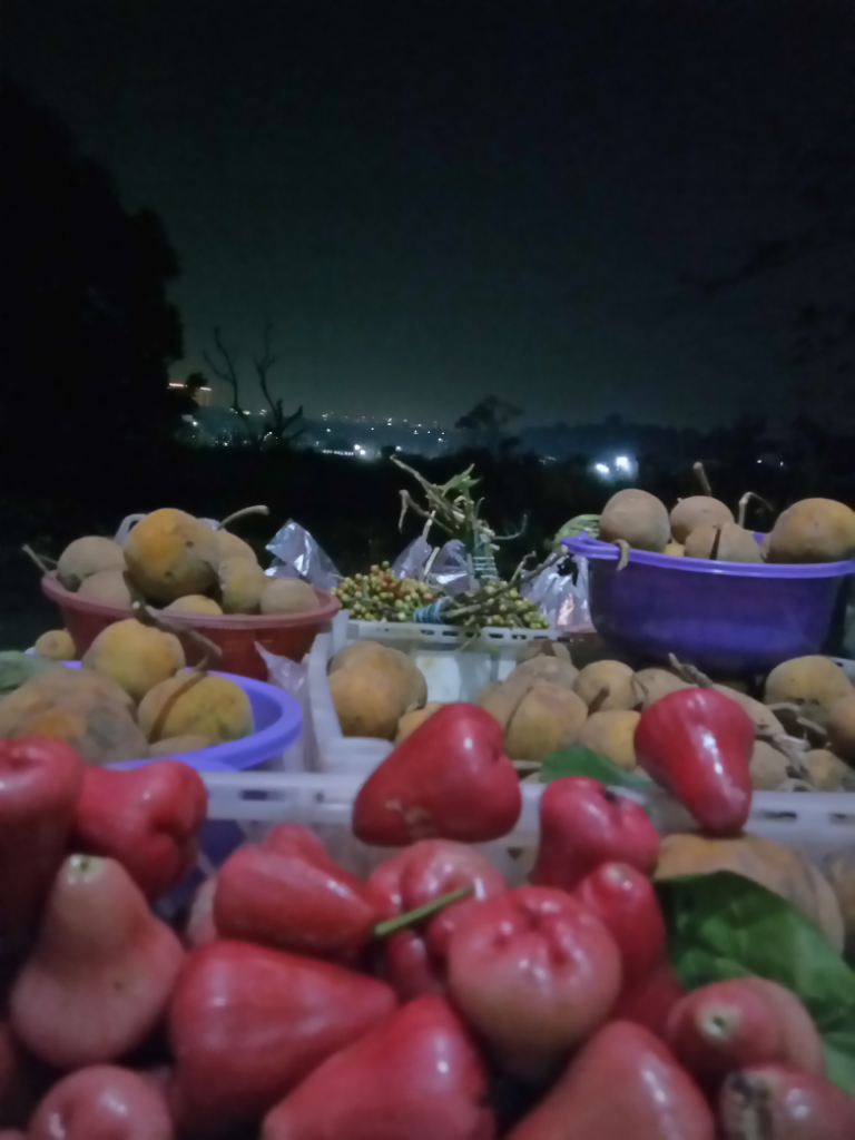 Kisah Nyata Hikmah Nasi uduk pake pupuk orea