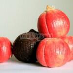 Tanaman buah langka di mekarsari bogor