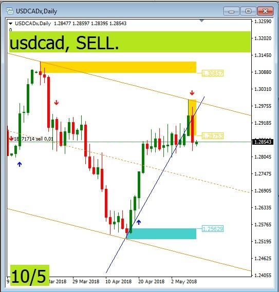 trading harian, pagi hari,