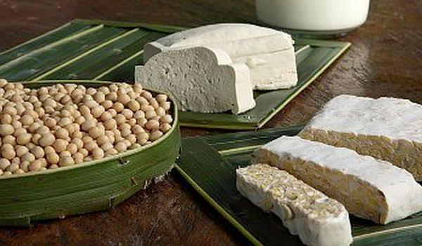 Susu Sari Tempe