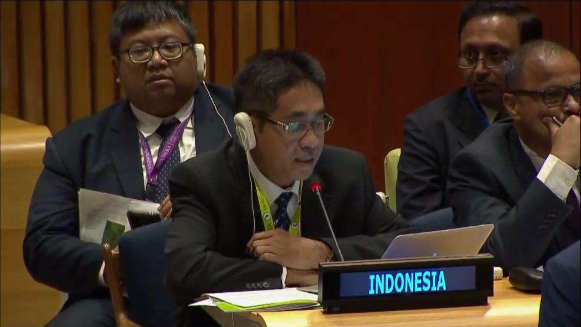 Berikut Kontribusi Indonesia pada Pencapaian Sasaran Kehutanan Global