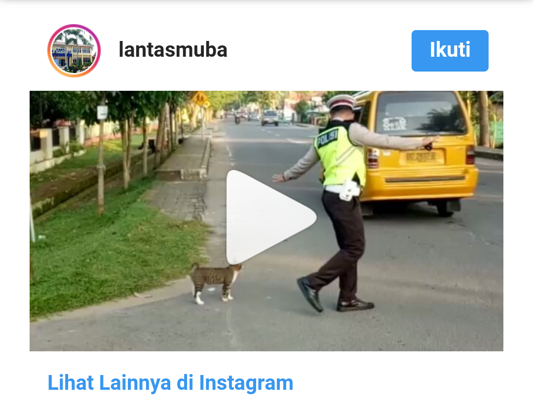 Viral, Video Polisi Menyeberangkan Kucing di Jalan Raya