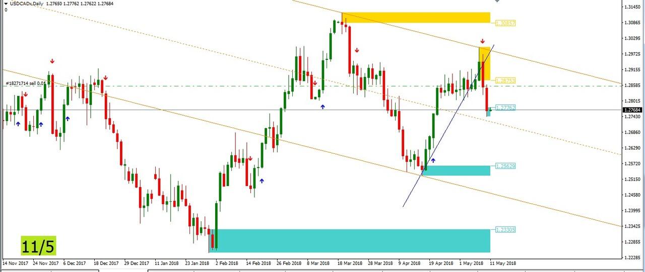 trading harian, pagi hari,