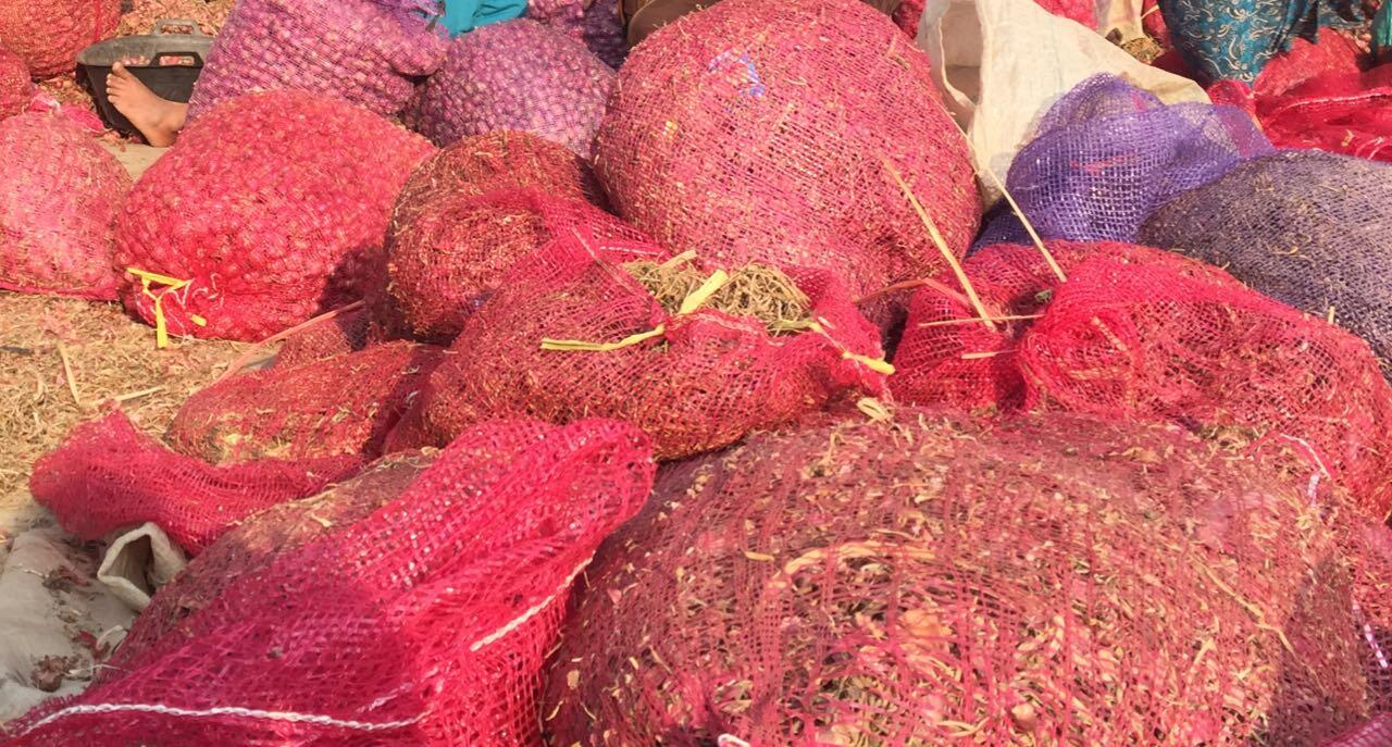 Kementan: Stok Pangan pada Ramadan dan Idul Fitri Aman