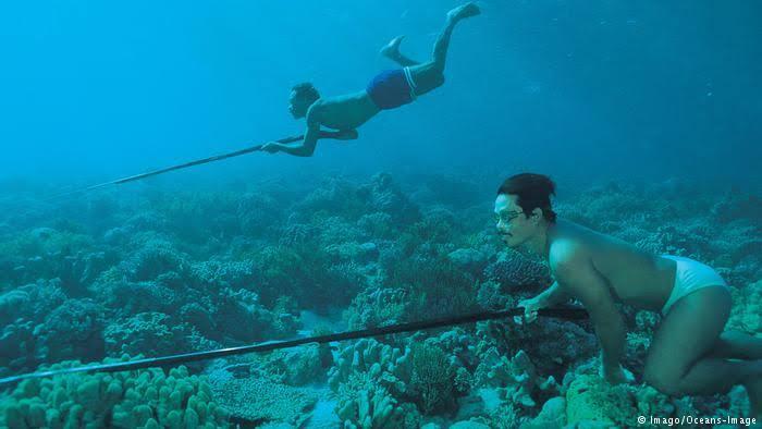 Kenapa Suku Bajau Bisa Menyelam Lama Di Dalam Air