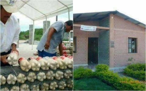 Beda Dari Yang Lain, Rumah Ini Dibangun Dengan Botol Bekas!!! Wow