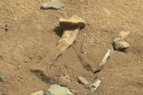 Nasa Sembunyikan Bukti Penemuan Alien,benar Kah