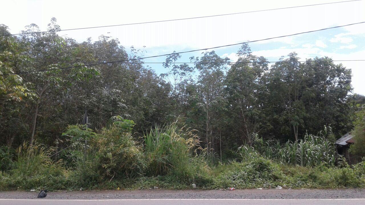Disewakan Tanah Kosong 4 Lokasi Jl Ahmad Yani Batu Balian Simpang Empat Kab. Banjar