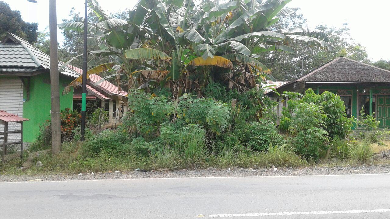 Disewakan Tanah Kosong 4 Lokasi Jl Ahmad Yani Batu Balian Simpang Empat Kab. Banjar
