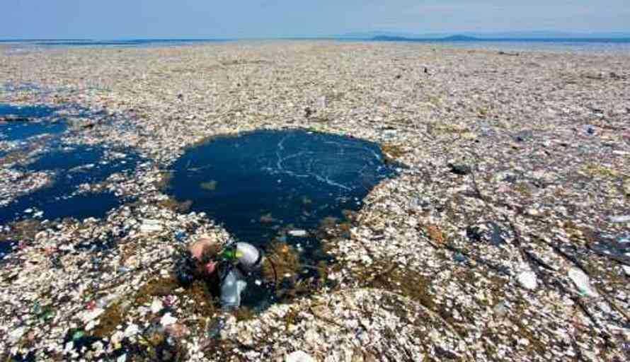 Miris Gan ! 29 Kilo Plastik di Perut Ikan Paus