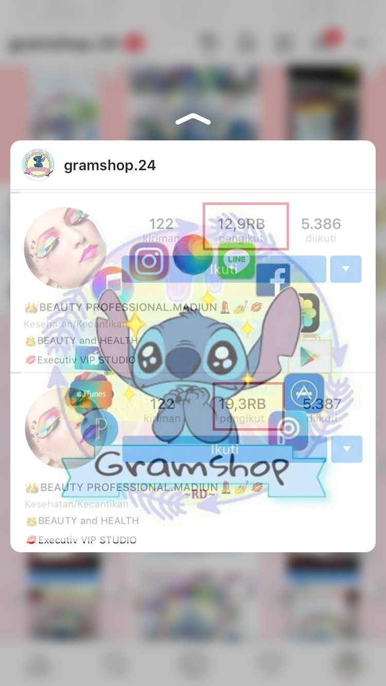 Followers Pasif Instagram