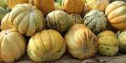 AHLAN WASHAH LAN!! ! 4 Jenis Buah Ini Cuman Ada di Ramadhan, Orang Heboh Mencari Nya