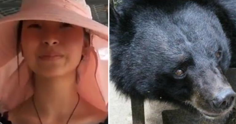 CEWEK Pemain PORNO Beli Anjing,Malah Jadi BERUANG RAKSASA!