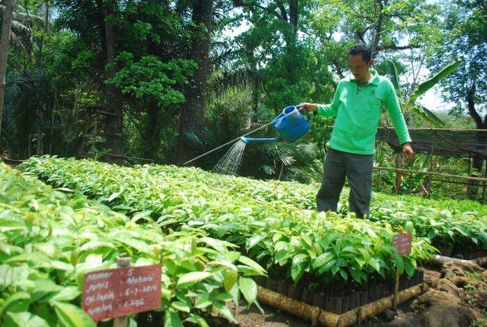 &#91;COC GL&#93; Populasi Manusia Makin Bertambah, Apa Sih Dampaknya Bagi Biodiversitas?