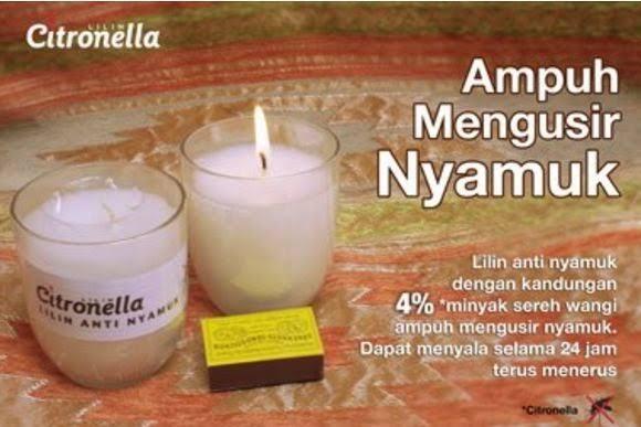 Jangan Pakai Obat Nyamuk, Tapi 3 Cara Ini Bisa Menghindari Nyamuk