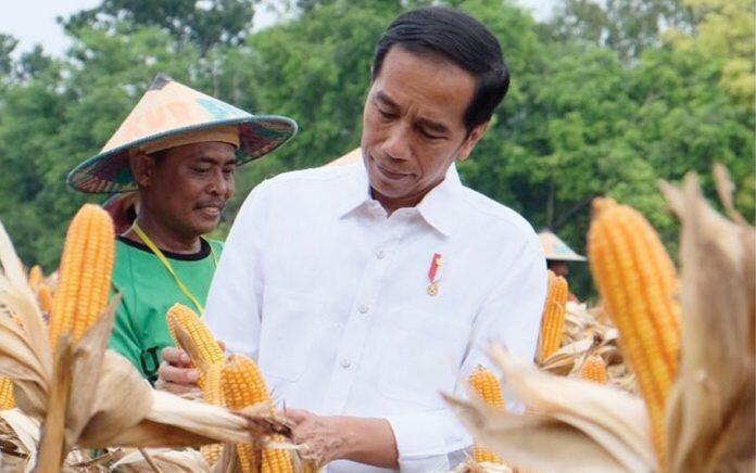 Presiden Jokowi: Jangan Sampai Dana Desa Rp187 Triliun Kembali ke Jakarta