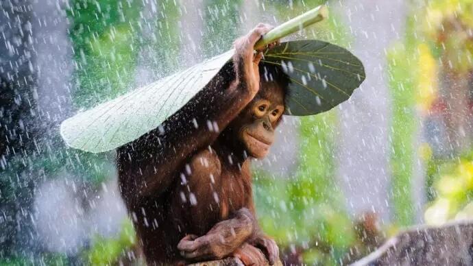 Mengintip Indahnya Alam Kalimantan dari Dekat, Indonesia Itu Keren Gan!