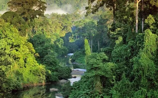 Mengintip Indahnya Alam Kalimantan dari Dekat, Indonesia Itu Keren Gan!